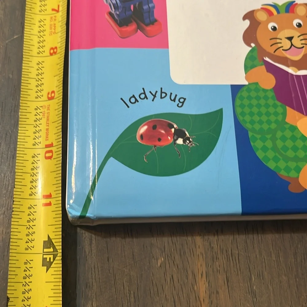 BABY EINSTEIN First Words Book BOARD BOOKS SET PUFFY COVER LARGE LEARNING #63